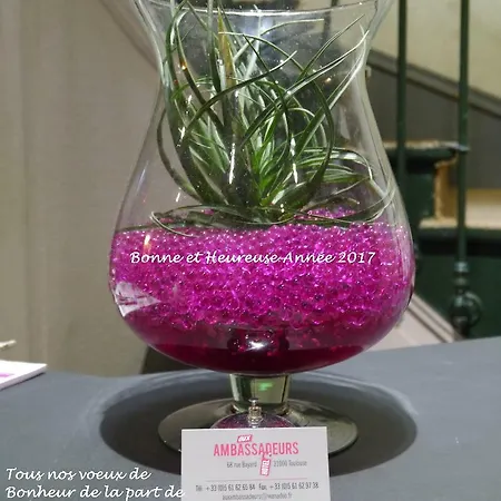 Des Ambassadeurs מלון 2*